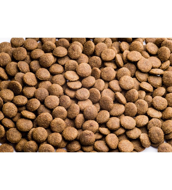 CLUB 4 ŁAPY ADULT jagnięcina i ryż dla wszystkich ras 2kg - obrazek 2